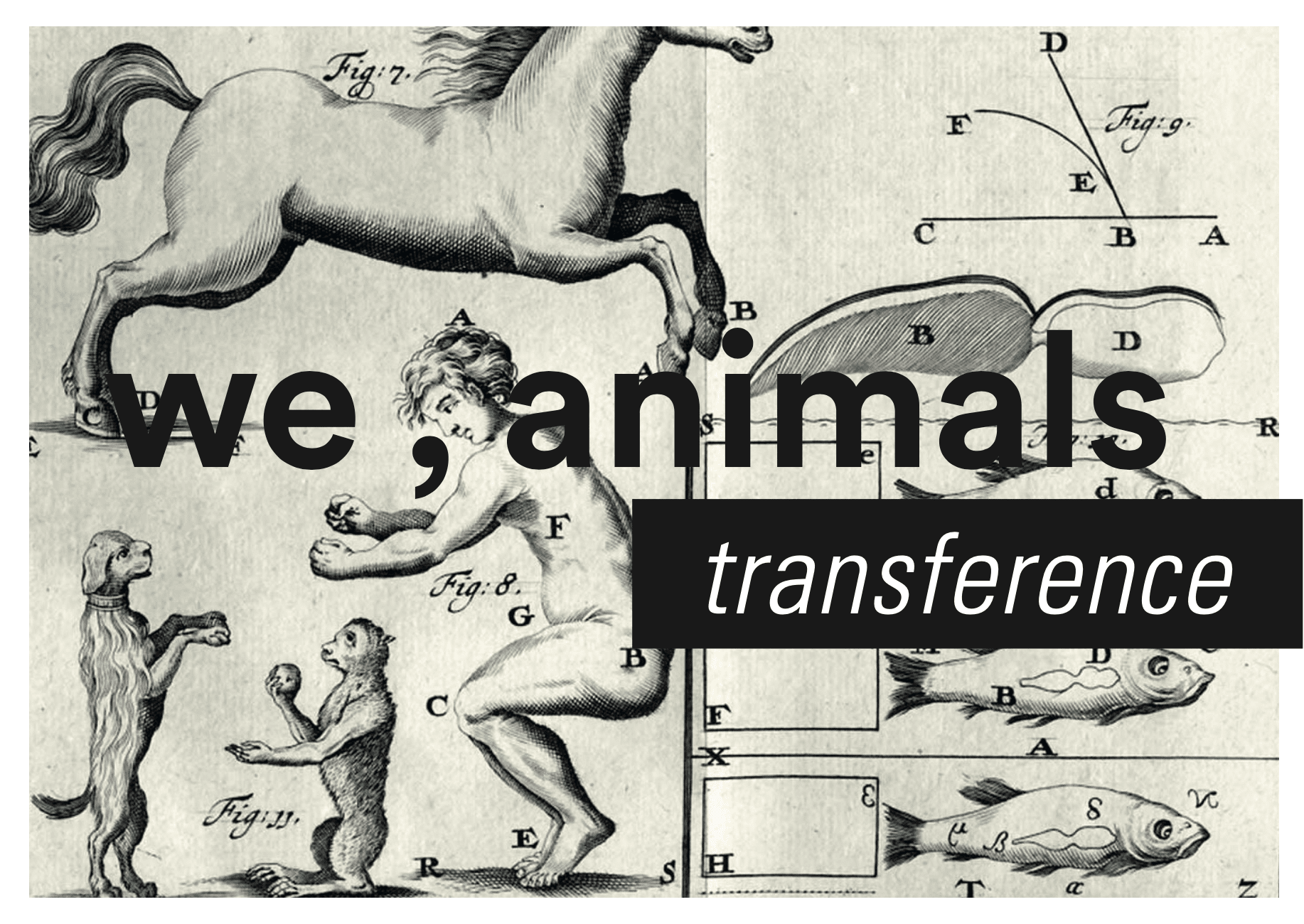 2015 Exhibition Mein Blau we animals transference Berlin